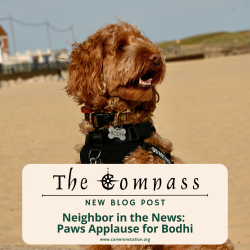 Neighbor in the News: Paws Applause for Bodhi